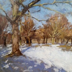 Lightfall in the Park