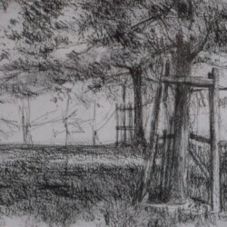 Sketch Drawing 2, Richmond Park