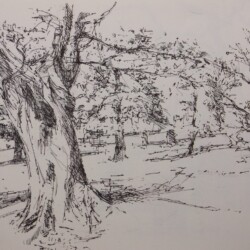 Sketch drawing 1, Richmond Park
