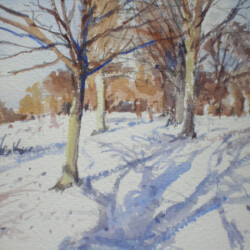 Snow Shadows, Richmond Park