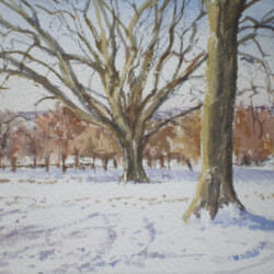 Richmond Park Under Snow