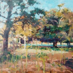 Spring, Richmond Park